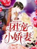 团宠小娇妻，陆总宠不停陆向哲