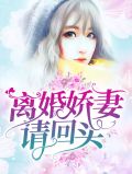 离婚娇妻请回头傅时年