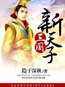 三国新天子