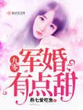 九零军婚有点甜